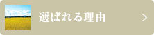 選ばれる理由